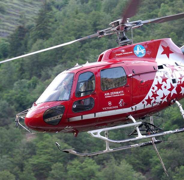 Quindici mucche morte in un burrone nel vicino Canton Vallese