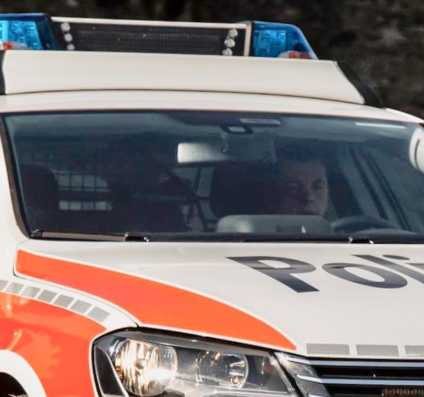 Lite tra giovanissimi in stazione a Bellinzona: 17enne spinto sbatte la testa contro un treno in arrivo