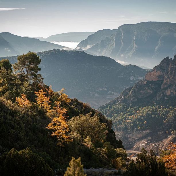 E' Pietro Cesena l'escursionista di Dumenza che ha perso la vita lunedì in un tragico incidente sulle montagne del Ticino