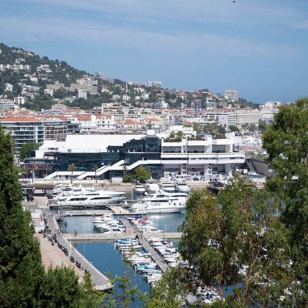 76° Festival di Cannes, undici cortometraggi in gara per la Palma d'Oro