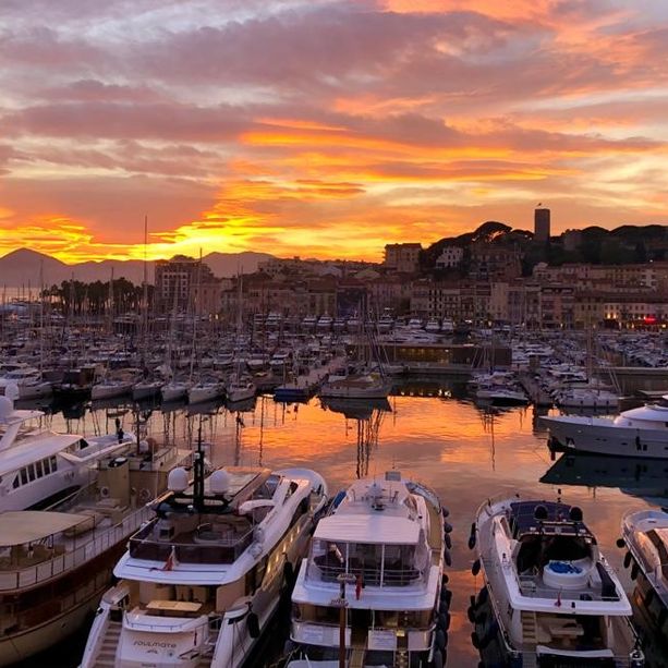 “Che piacere rivederci!”, il programma del mese di agosto di Cannes