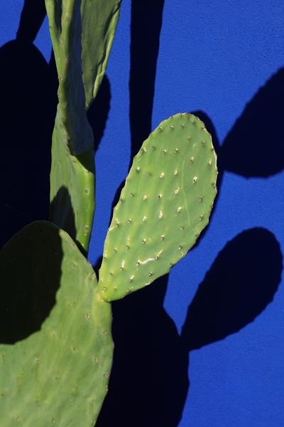 Mougins, “Andremo fino al sole”, le fotografie di Jessica Backhaus