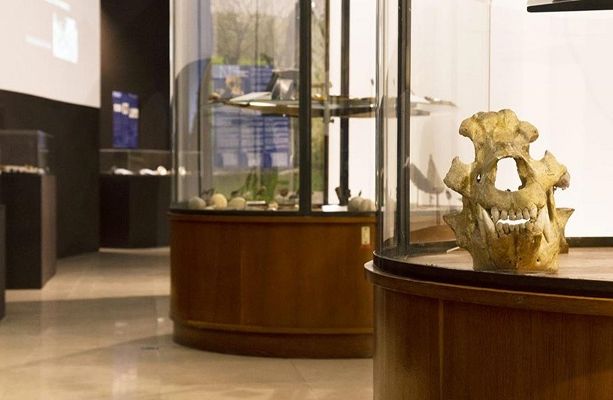 Il Musée d’Anthropologie préhistorique di Monaco propone un agosto di mostre e animazioni