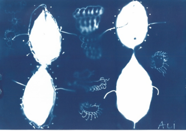 Monaco ospita la mostra  &quot;Regards d'ailleurs: Rhapsodie en bleu&quot;