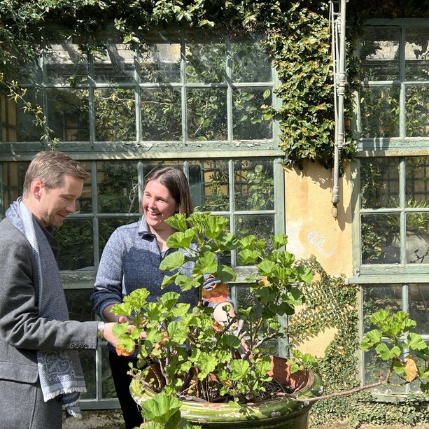 Serre de la Madone di Mentone compie 100 anni: incontro con l'equipe di Hidcote Manor