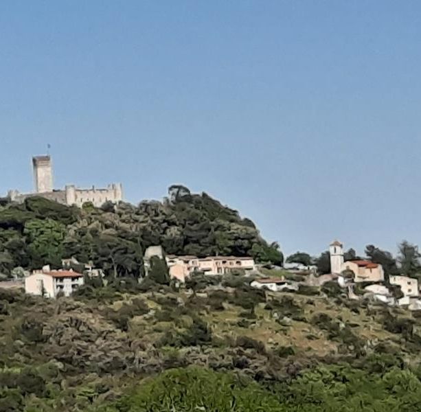 Villeneuve-Loubet, un'estate all'insegna del divertimento e del relax