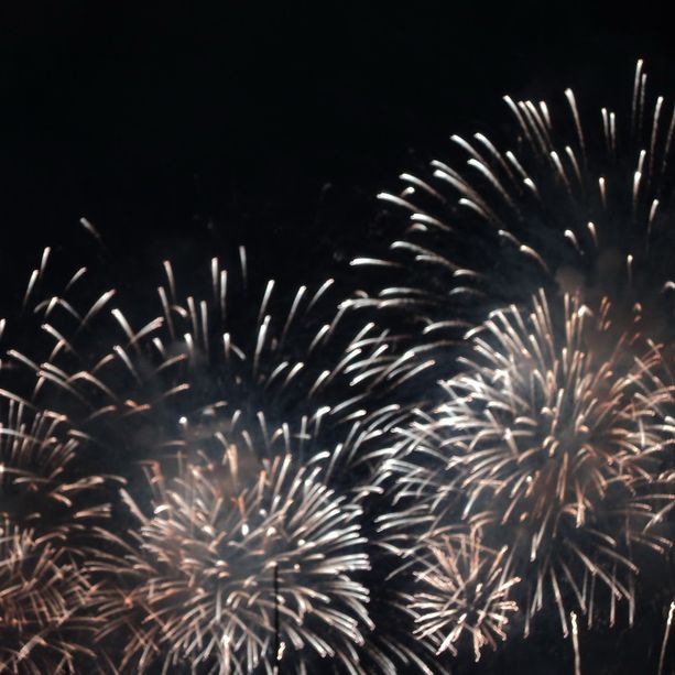 Si avvicina la Festa Nazionale del Principato di Monaco: ecco il programma