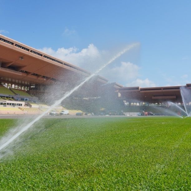 Herculis Hebs di atletica leggera: Monaco svela le prove