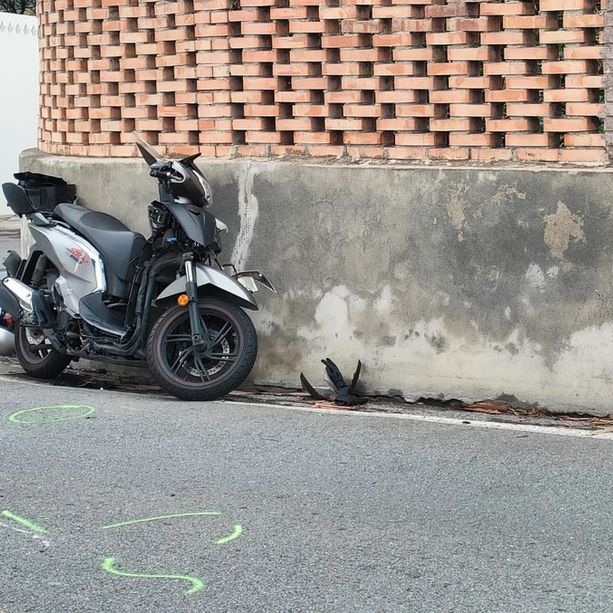 Sanremo: incidente stradale di questa mattina in corso Mazzini, è morto lo scooterista che si è scontrato con il furgone (Foto)