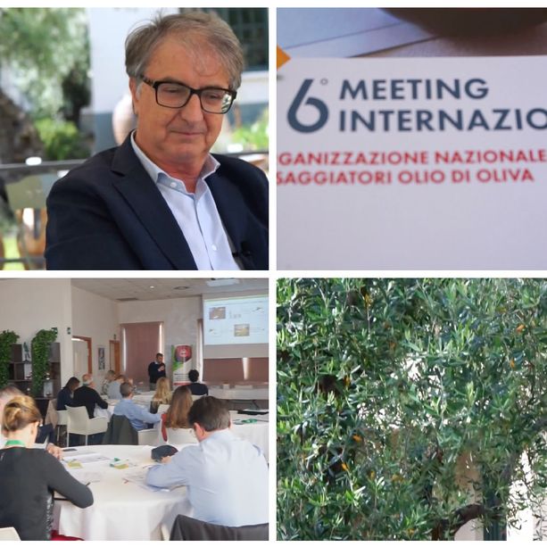 A Imperia il 6º Meeting Internazionale Onaoo, Lucio Carli: &quot;Momento di grande confronto&quot; (videointervista)