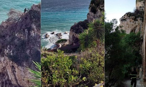 Ventimiglia, albero pericolante sui binari: iniziate le operazioni di rimozione (Foto)