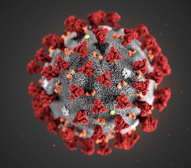 Coronavirus in Liguria: 1 decesso nelle ultime 24 ore a Sanremo, calano i positivi in provincia di Imperia
