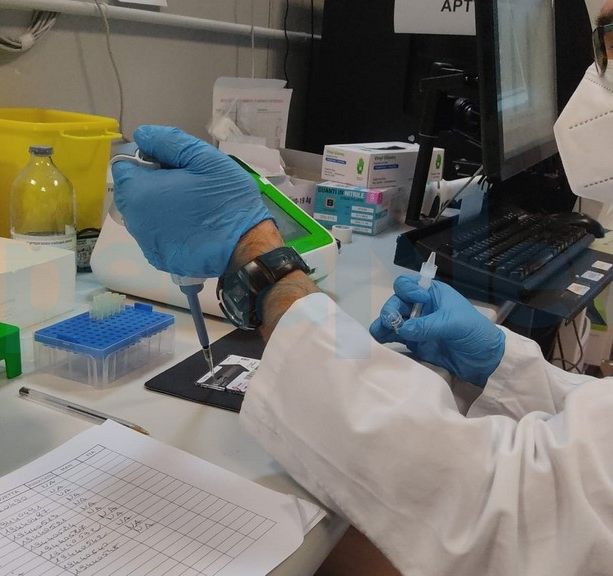 Coronavirus: tasso di positività in lieve calo ma aumentano ricoverati e terapie intensive, nessun morto