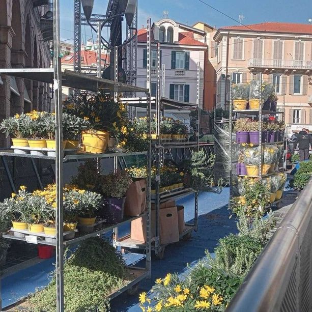 Sanremo Piante: &quot;nostro il 'green carpet' del Festival. Fiorello lo ha voluto più esotico. Blanco e il palco? Ecco come è andata veramente…&quot;