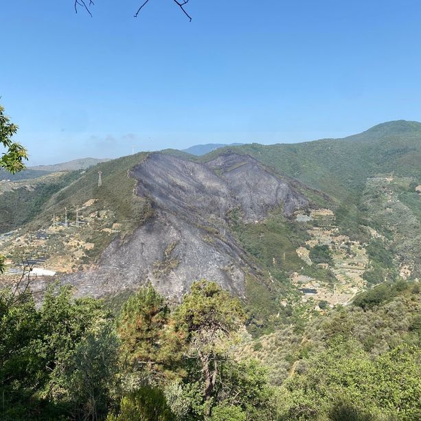 Taggia: due Canadair e un elicottero impegnati anche stamattina per lo spegnimento dell'incendio di ieri (Foto)