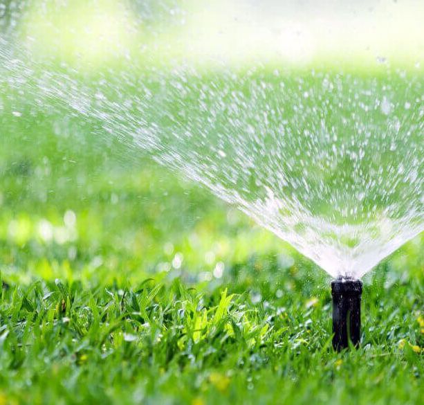 L'acqua sempre nell'occhio del ciclone: il Sindaco di Ceriana chiede a Rivieracqua di razionarla per irrigare i campi
