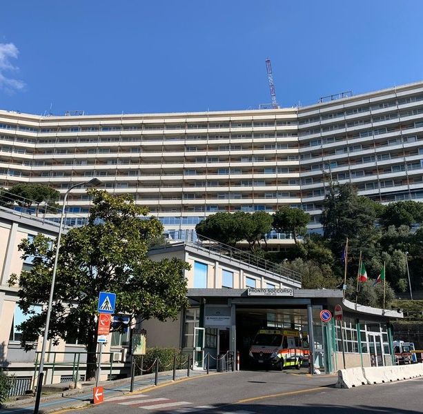 Sospetto caso di vaiolo delle scimmie in Liguria: il test sulla 24enne risultato negativo