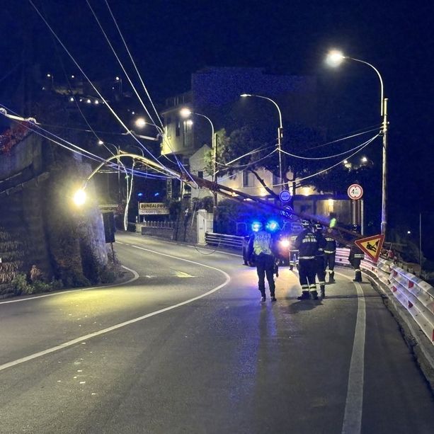 Secondo crollo di un traliccio RT in pochi giorni: serve un progetto per smantellare l'intera linea