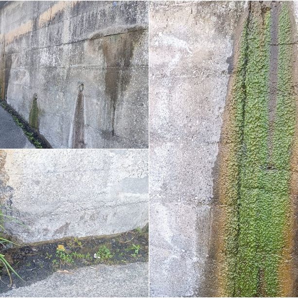 Sanremo: ennesimo spreco idrico sul territorio, da mesi sgorga acqua da un muro di Coldirodi