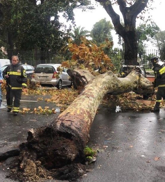 Allerta Rossa e maltempo: perturbazione in ritardo, cadono alberi a Ventimiglia e Pigna (Foto e Video)