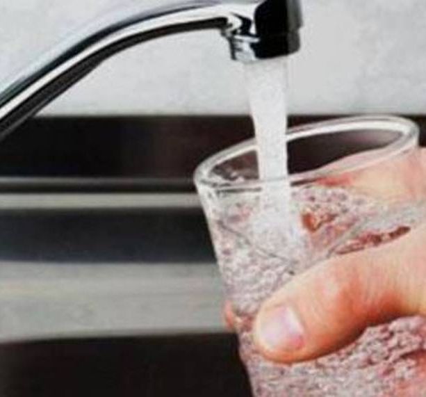 Imperia, vasca di via Poggiolo: Rivieracqua ingiunge ai proprietari del fondo attiguo di rimuovere gli animali. A rischio l'inquinamento del serbatoio