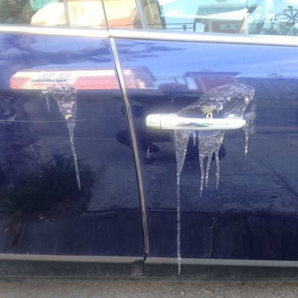 Coronavirus, vandalizzata con l'acido un'auto targata Torino al Parasio, la denuncia di un agente immobiliare
