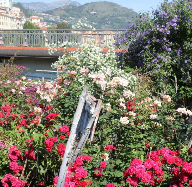 Ventimiglia, cura gratis per 20 anni un giardino con fiori e papere: il giardiniere del Roya finisce a processo