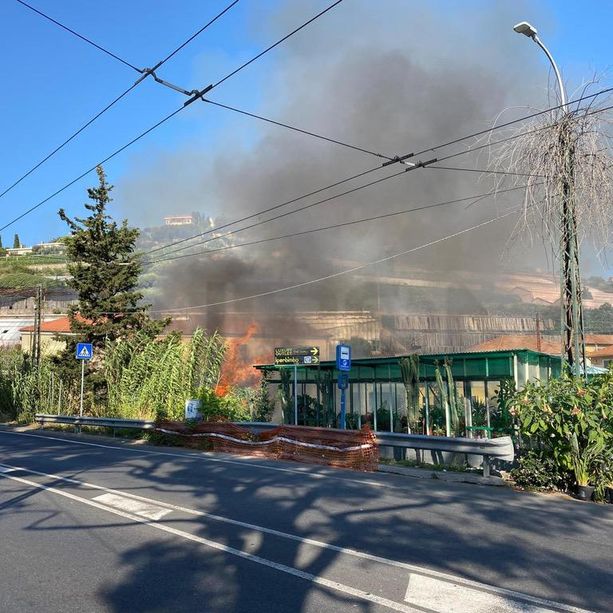 Sanremo: vasto incendio a Bussana, traffico bloccato sull'Aurelia (foto e video)