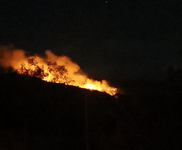 Vasto incendio in val Prino, a Valloria bruciano i boschi in zona Santa Marta