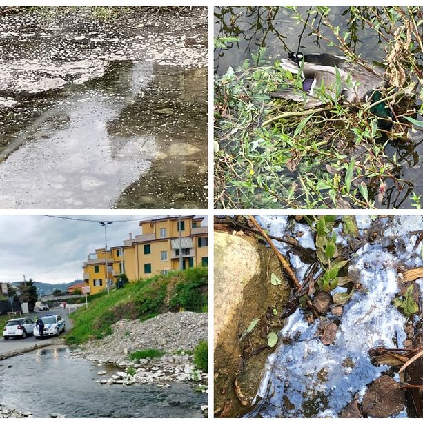 Diano Marina, chiazze bianche oleose alla foce del torrente Evigno: scattano le indagini di Arpal