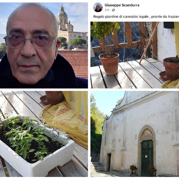 “Regalo piantine di cannabis legale”, l’annuncio su Facebook del parroco di Diano Borello don Giuseppe Scandurra