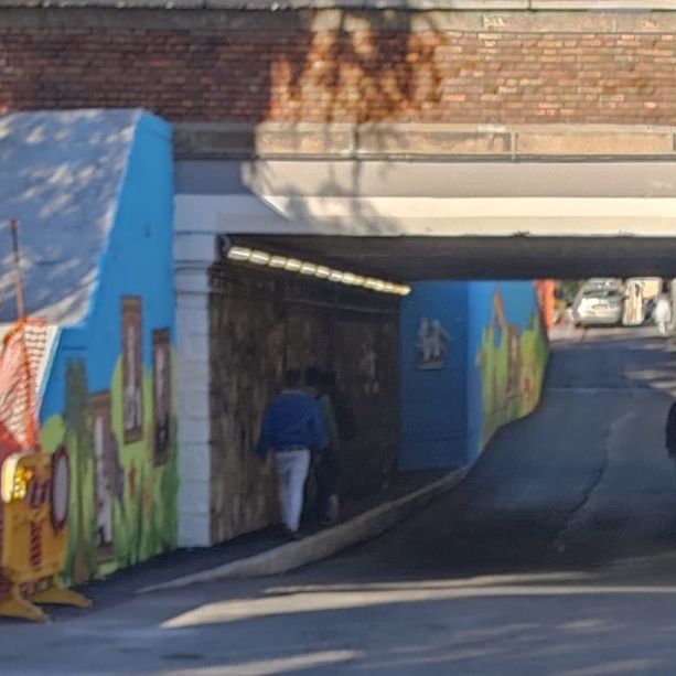 Imperia, sottopasso dell’Argine sinistro. In consiglio comunale l’interpellanza di Abbo e Verda: “Quando potranno transitare i pedoni?”