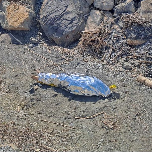 Tragedia a Riva Ligure, surfista muore scaraventato sugli scogli dal vento (Foto)