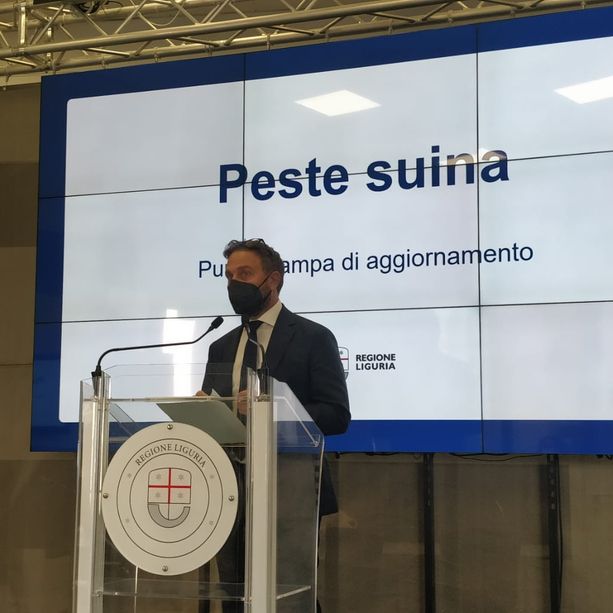 Peste suina, la Regione rivede i confini dell'ordinanza e 'ammorbidisce' il lockdown dei boschi