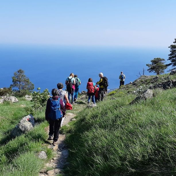 Giornata europea dei parchi: domani convegno regionale sulla biodiversità come valore ambientale e socioeconomico