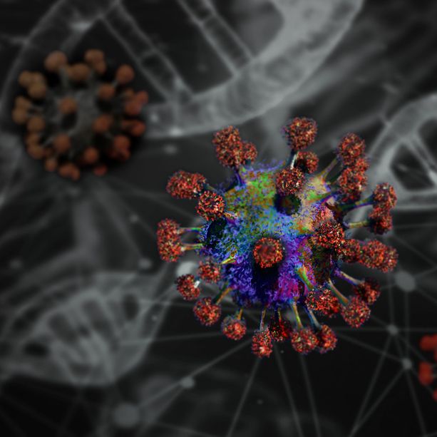 Coronavirus: la studentessa cinese da Wuhan è in isolamento fiduciario obbligatorio ed è in buone condizioni di salute