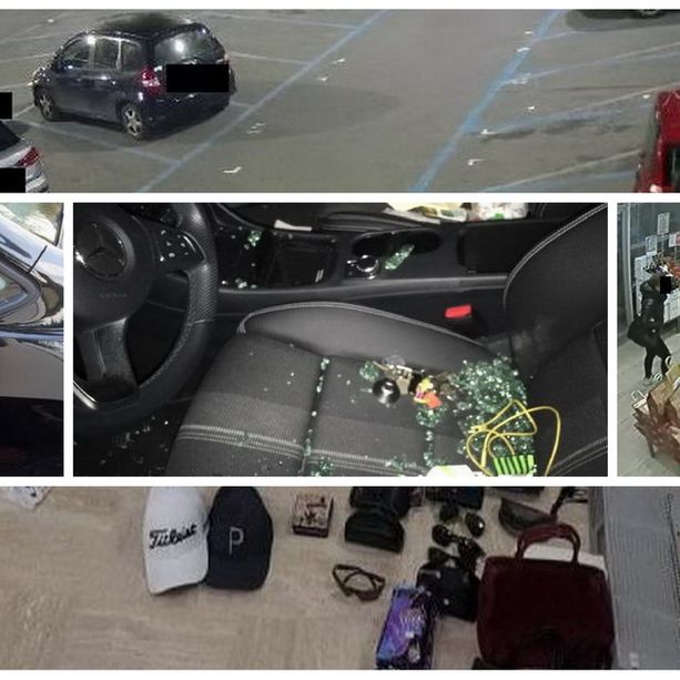 Furti dall'entroterra di Albenga fino a Taggia: sgominata dai Carabinieri una banda di ladri