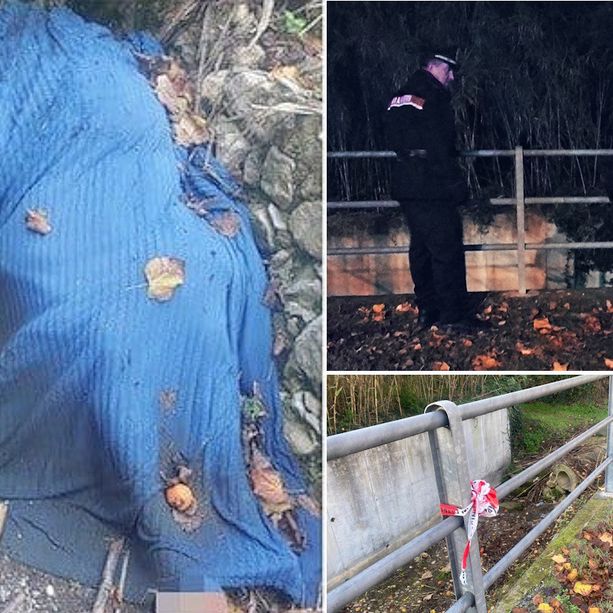 Cadavere trovato nel greto del torrente a Ceriale: sopralluoghi e confronto delle testimonianze (FOTO e VIDEO)