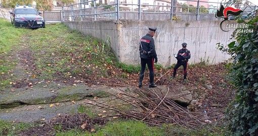 Uccide a Ceriale strangolando con il collare di un cane, il Pm chiede il giudizio immediato