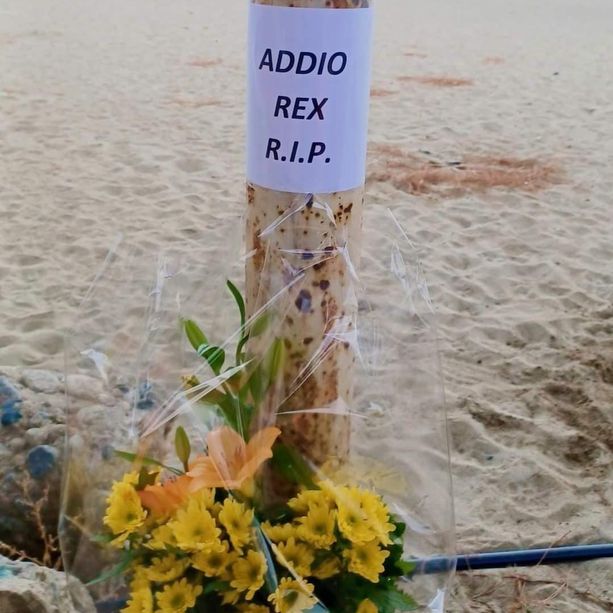 Cane ucciso ad Albissola, l'appello per cercare testimoni: &quot;Questa persona va identificata e fermata, chi ha queste reazioni è un pericolo per l’intera società”