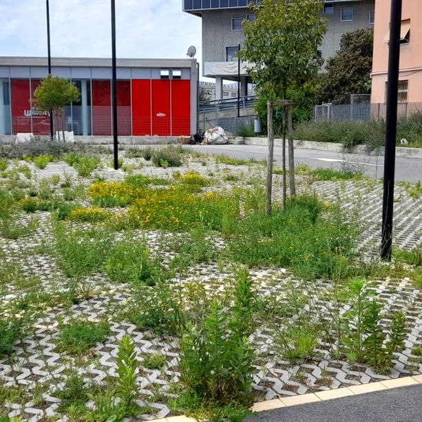 Savona, parcheggio a Parco Doria mai aperto: &quot;Dov'è il collaudo?&quot; (FOTO)
