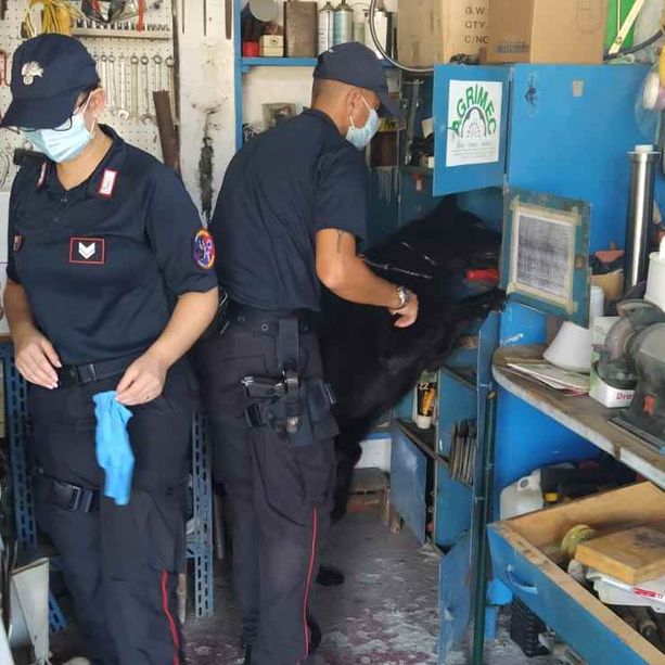 Villanova, un altro arsenale nel garage di Alberto Grosso: i carabinieri hanno rinvenuto armi, esplosivi e munizioni (FOTO)