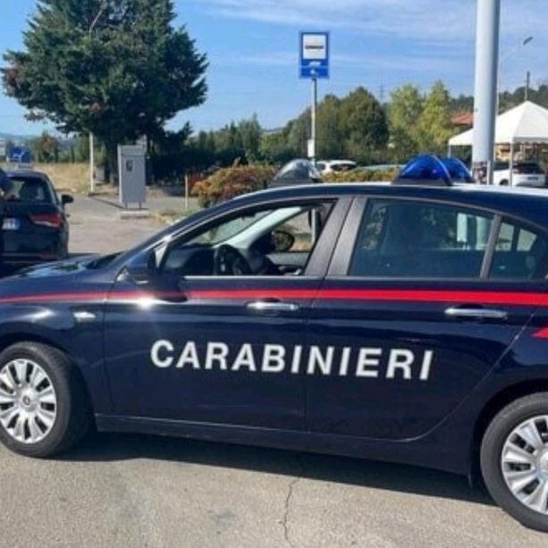Detenzione di droga per spaccio, porto abusivo d’armi e ricettazione: quattro giovani egiziani denunciati ad Alassio
