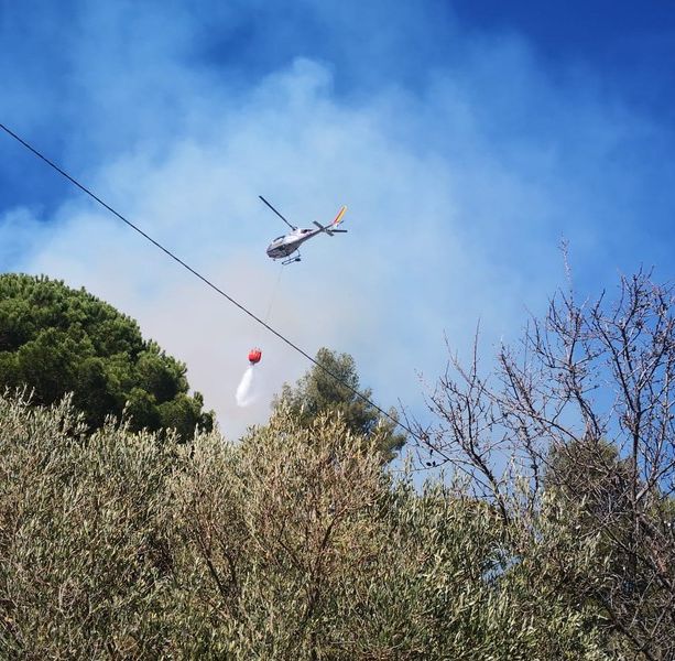 Incendio boschivo ad Alassio: proseguono le operazioni di bonifica, zona presidiata tutta la notte (FOTO e VIDEO)
