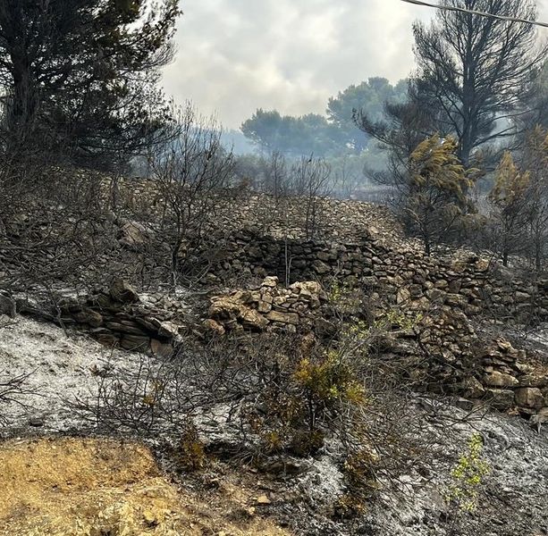Alassio, l'incendio non è spento: domati alcuni focolai, mobilitato l'elicottero