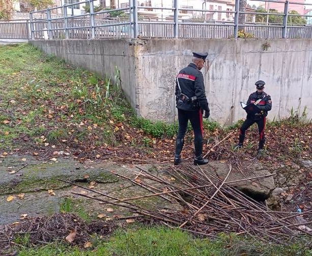 Omicidio di Ceriale, molestie ad una donna come movente: strangolato dal collare di un cane