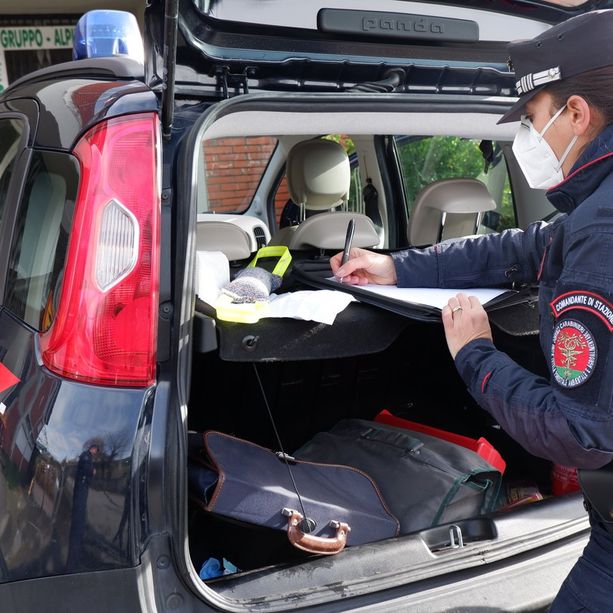 Cane muore dopo essere stato lasciato in auto al sole: indagano i carabinieri forestali