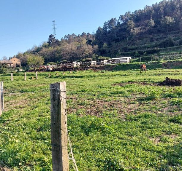 Rigassificatore, Quiliano chiede una proroga dei termini per la presentazione delle osservazioni: &quot;Tempi troppo ridotti&quot;