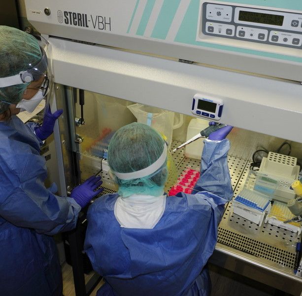 Coronavirus: 85 nuovi positivi in Liguria, 13 i casi nel savonese