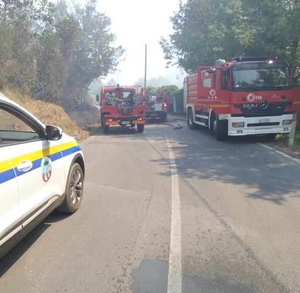 Incendio nell'entroterra ingauno: continua la bonifica, in volo EliLiguria